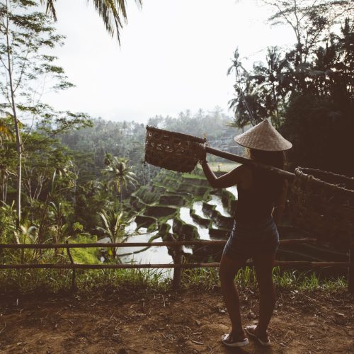 agriculture woman carrying tools on rice terraces in Ubud Village, Bali, Indonesia. Rice terraces